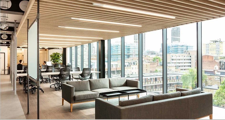  Alpine Agencies - Baffle Ceiling